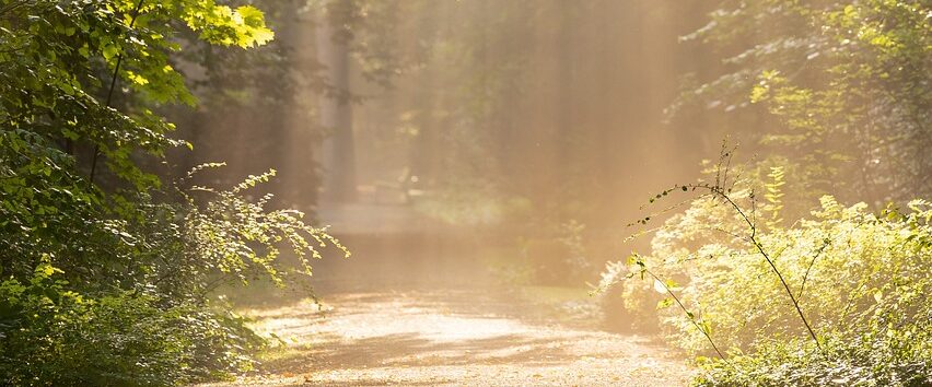 Mag.ᵃ Katrin Wagner